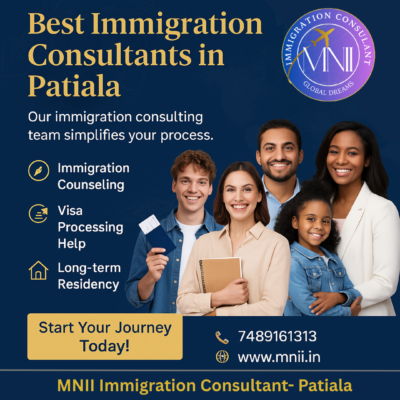 MNII Immigration Consultant